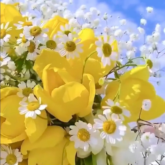 Meet your Posher, Ivilyn - Picture 2 of 11